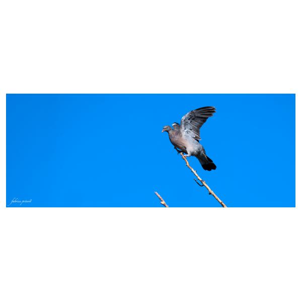 PHOTO84, CLUB, 84 , LUBERON